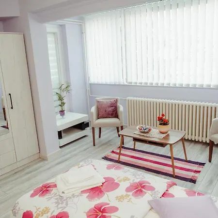 Dale Apartment *